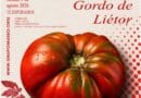 El tomate más «Gordo de Liétor» 2026